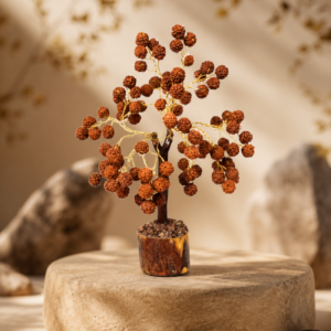 RUDRAKSHA TREE